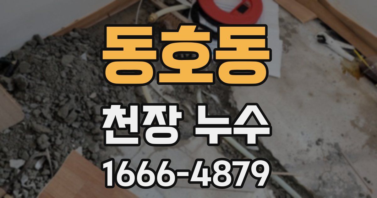 동호동 천장 누수