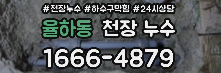 율하동 천장 누수