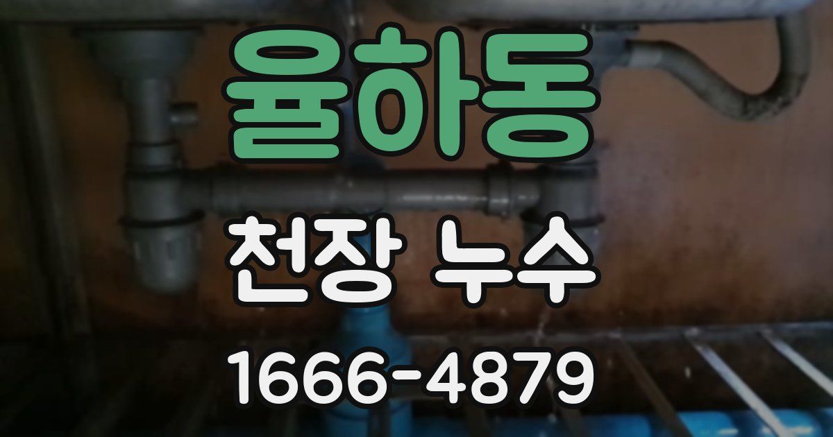 율하동 천장 누수