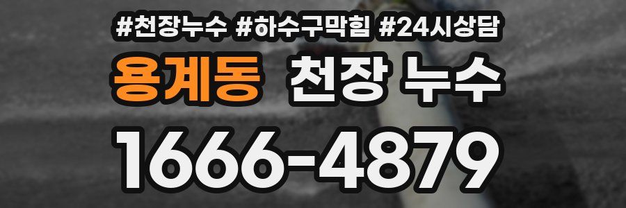 용계동 천장 누수