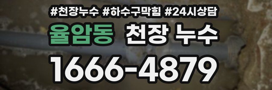 율암동 천장 누수