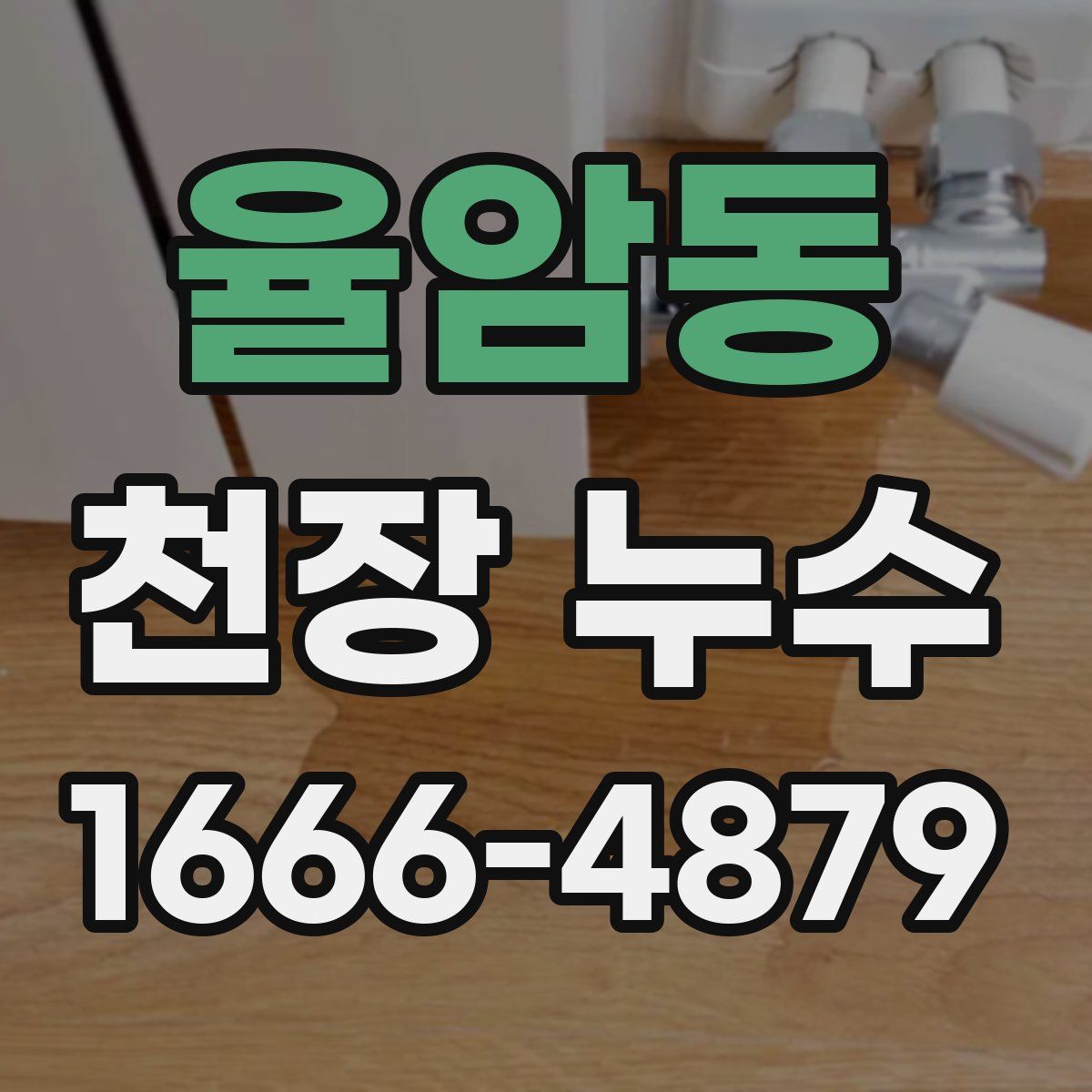 율암동 천장 누수