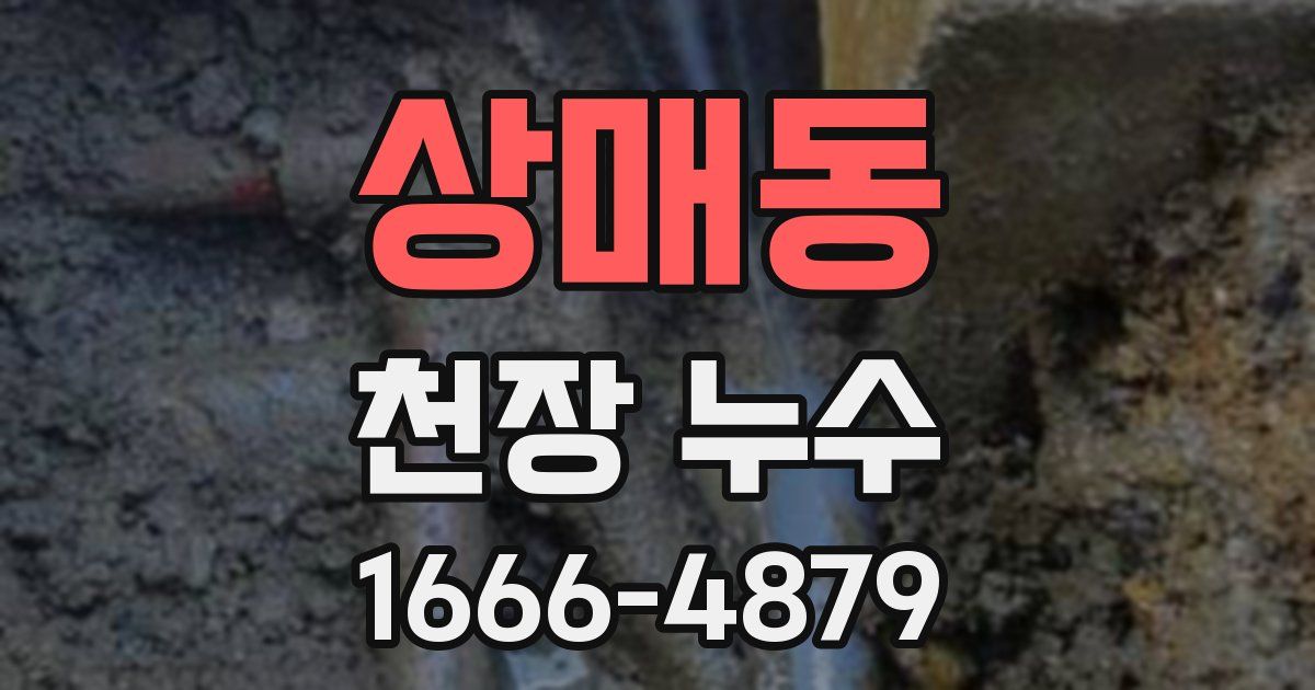 상매동 천장 누수