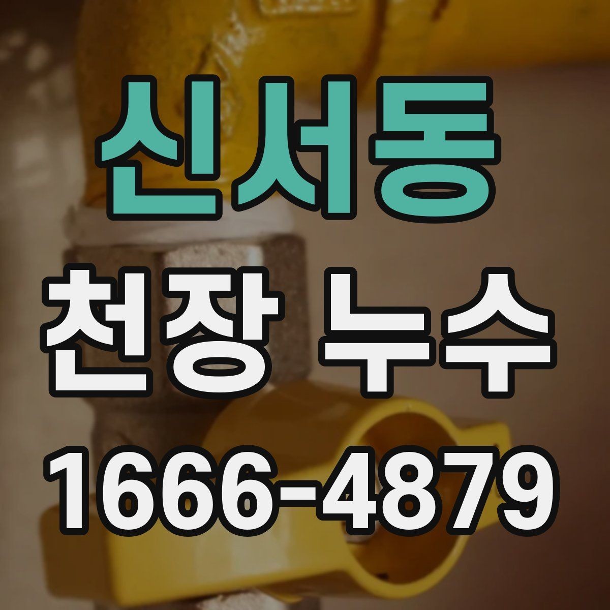신서동 천장 누수 욕실 줄눈 문제로 천장이 젖는 경우
