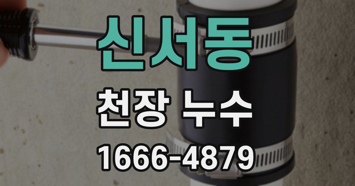 신서동 천장 누수