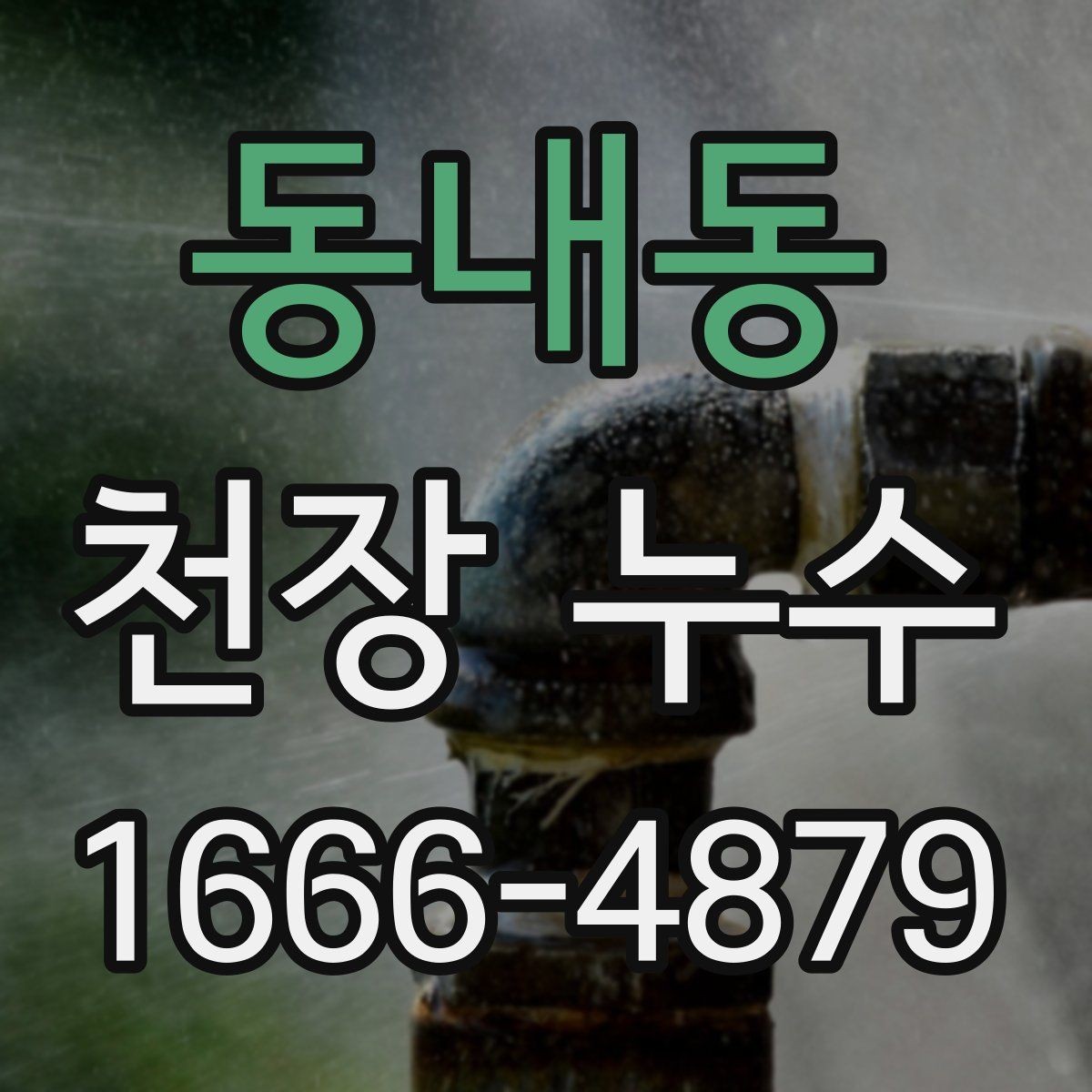 동내동 천장 누수 천장 가까이에서 퀴퀴한 냄새가 올라올 때