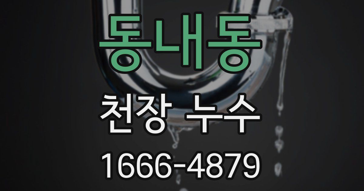 동내동 천장 누수