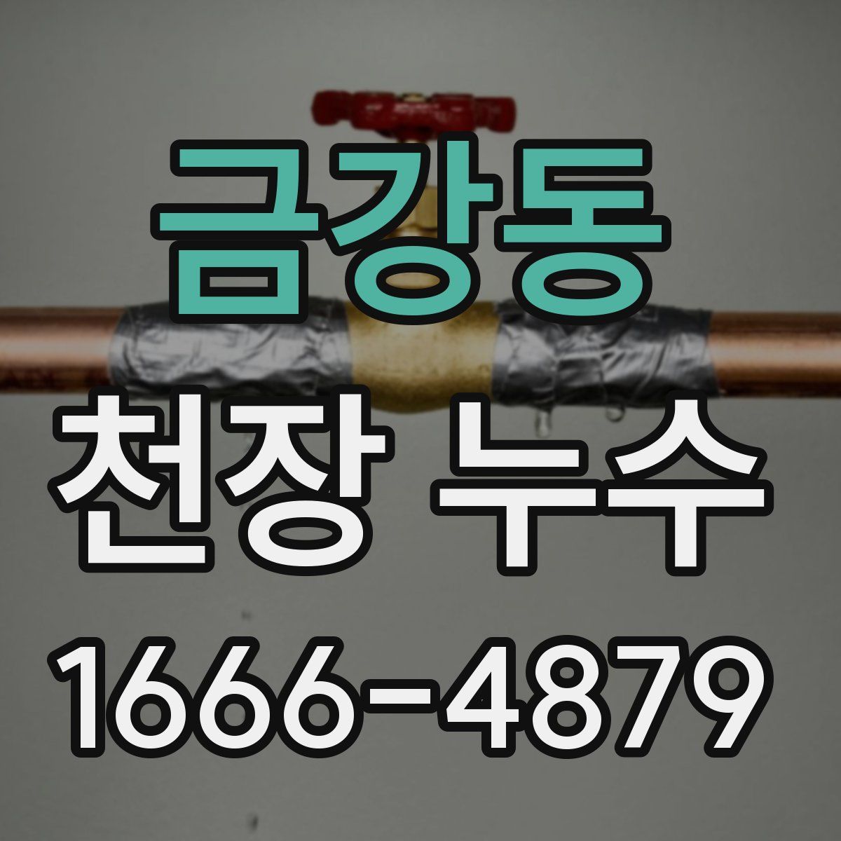 금강동 천장 누수