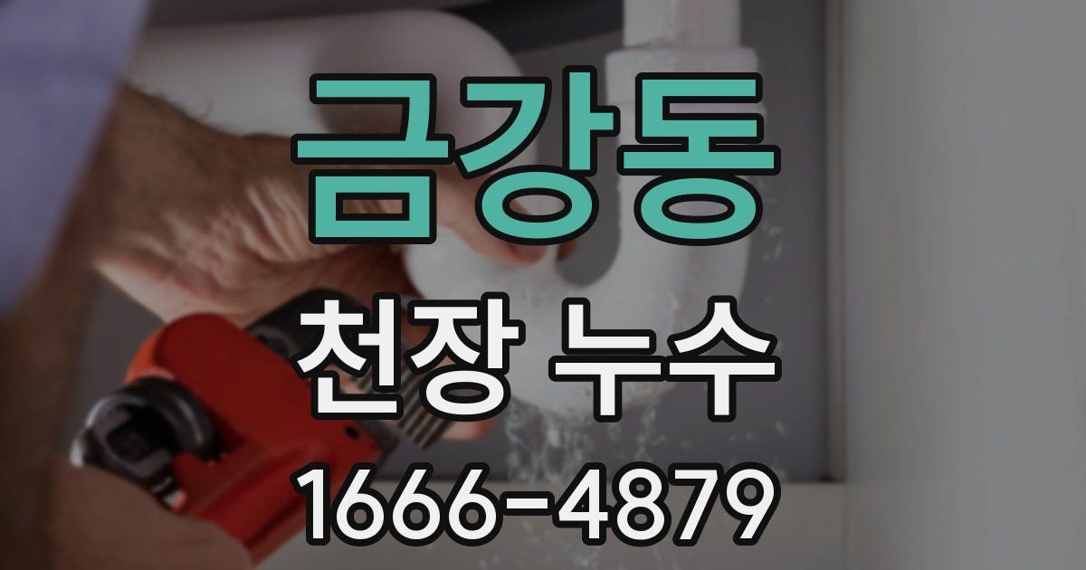 금강동 천장 누수