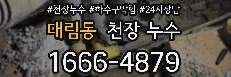 대림동 천장 누수