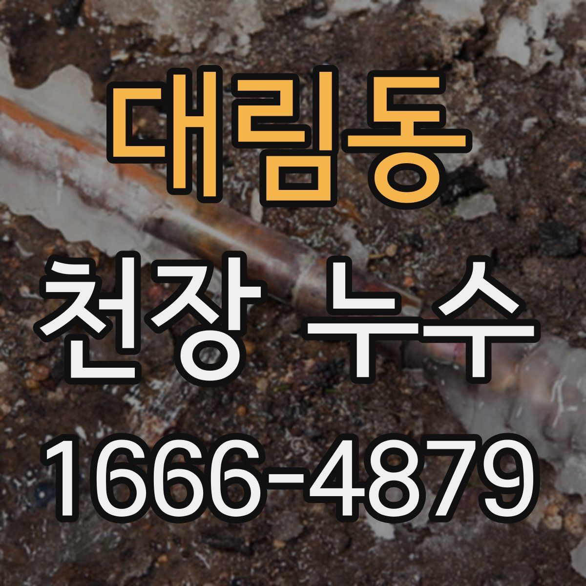 대림동 천장 누수