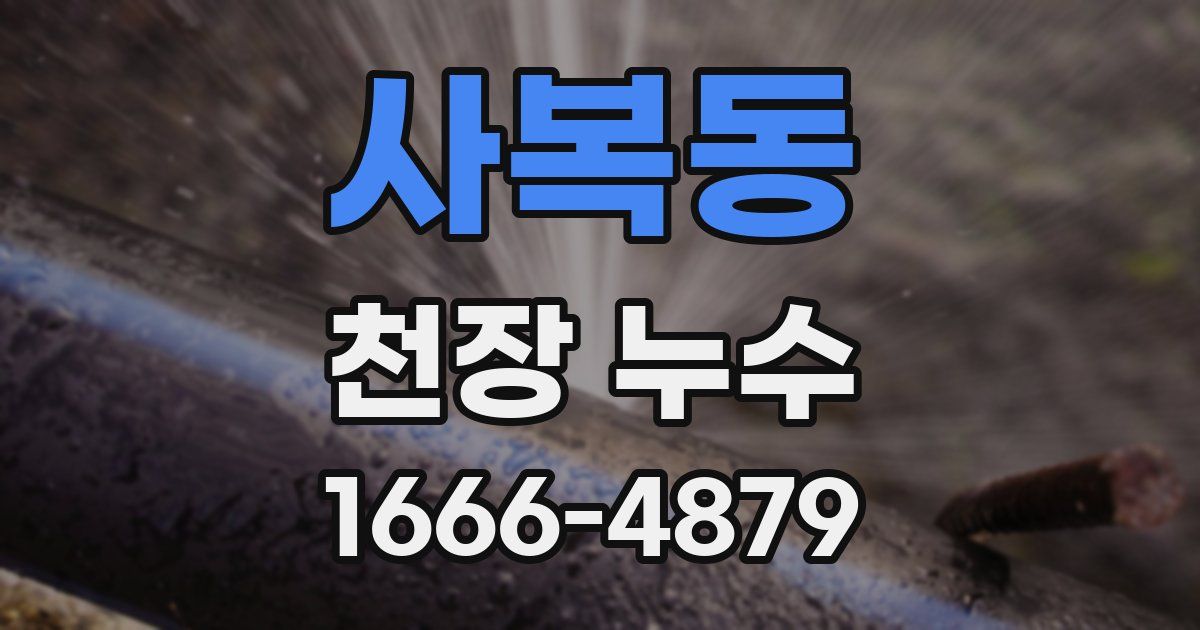 사복동 천장 누수