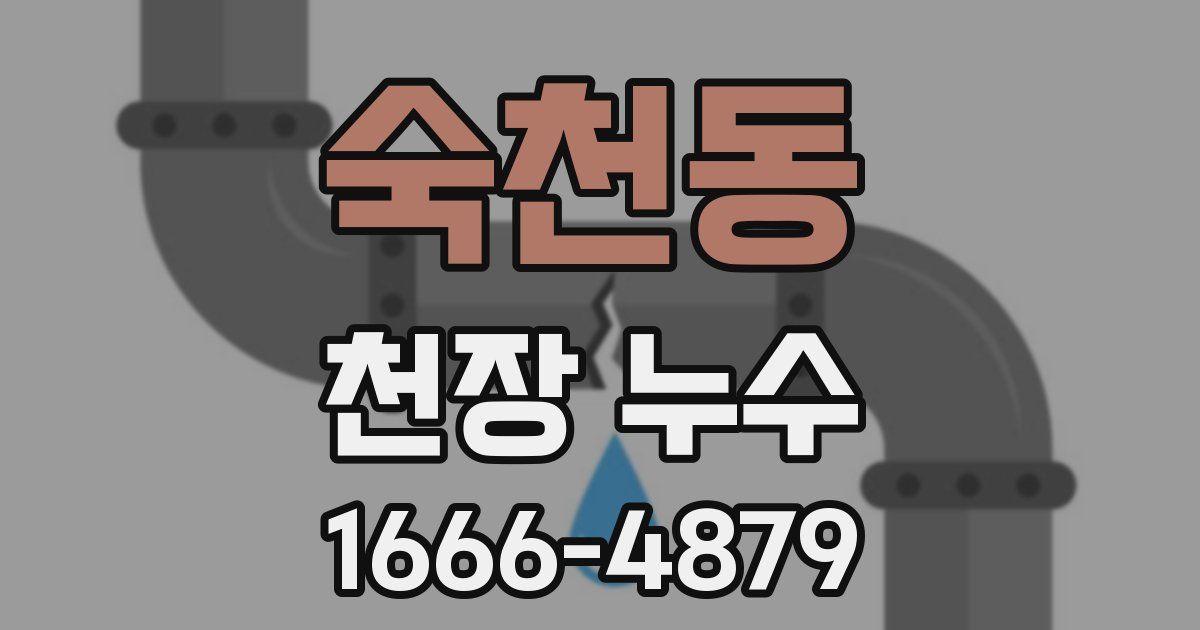 숙천동 천장 누수