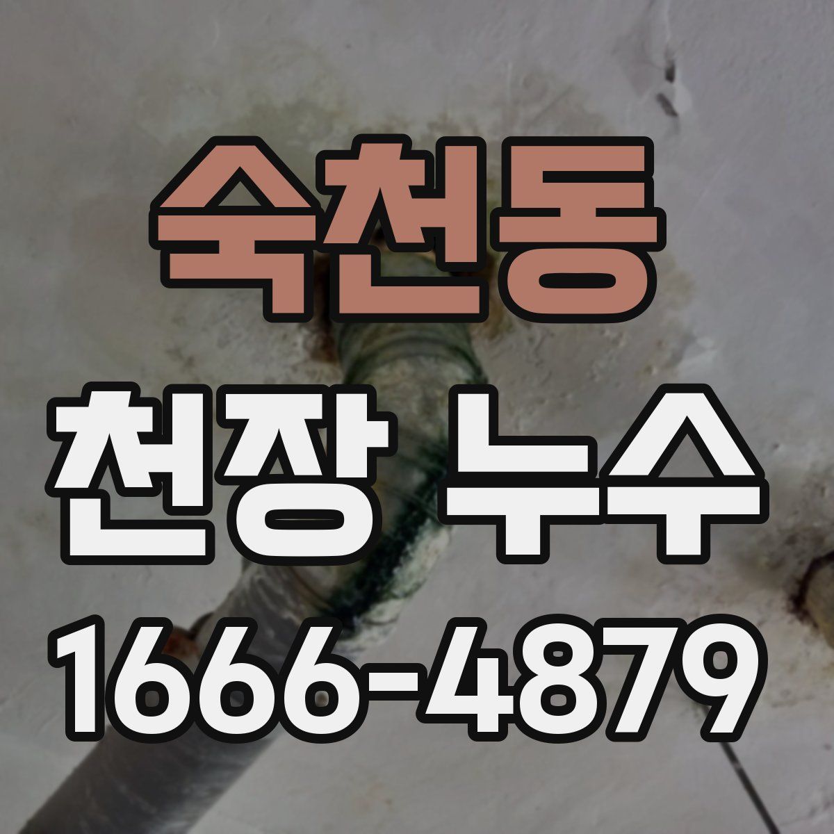 숙천동 천장 누수