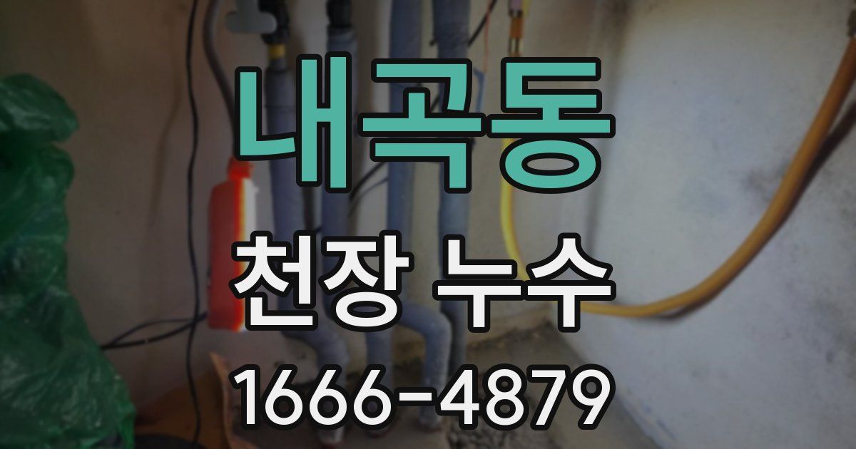 내곡동 천장 누수