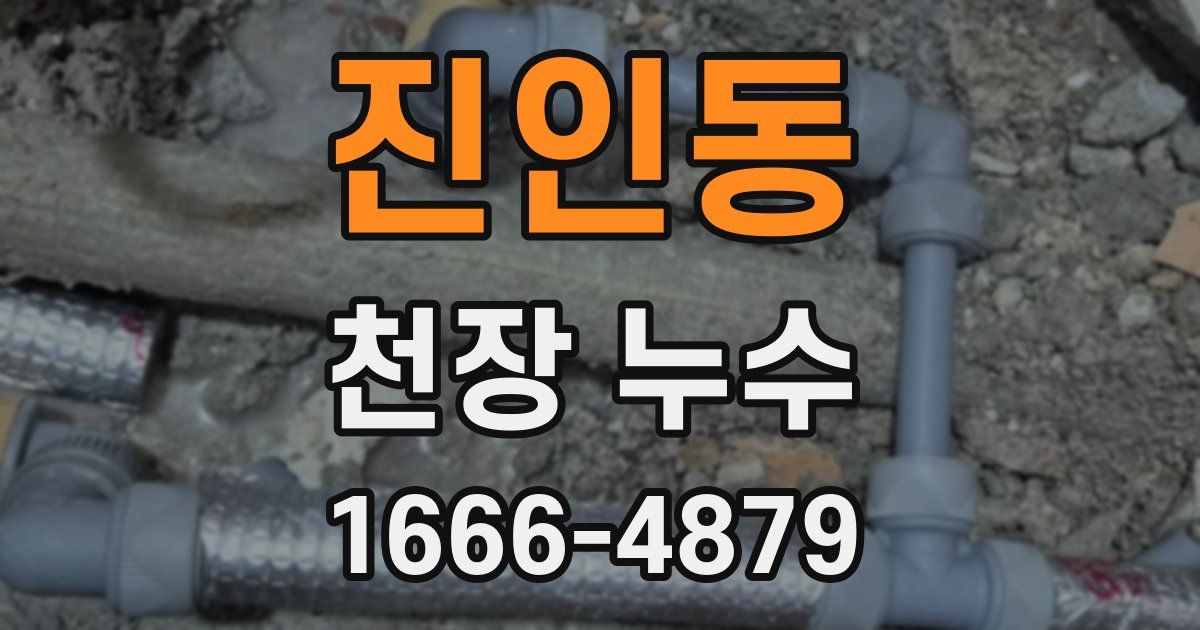 진인동 천장 누수