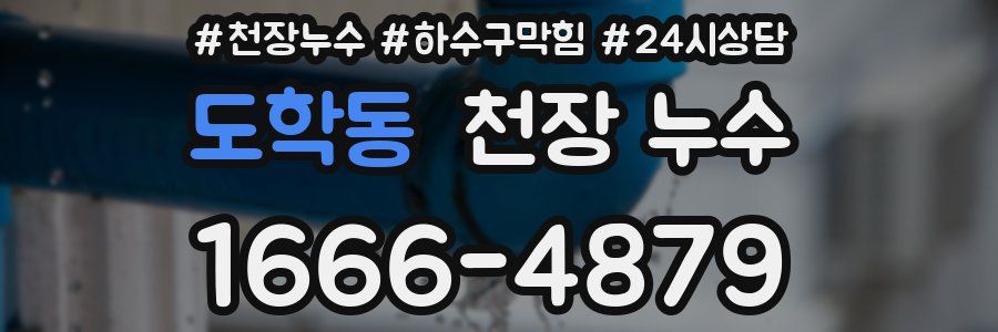 도학동 천장 누수