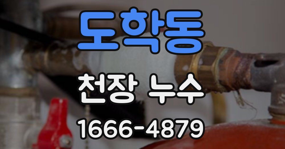 도학동 천장 누수