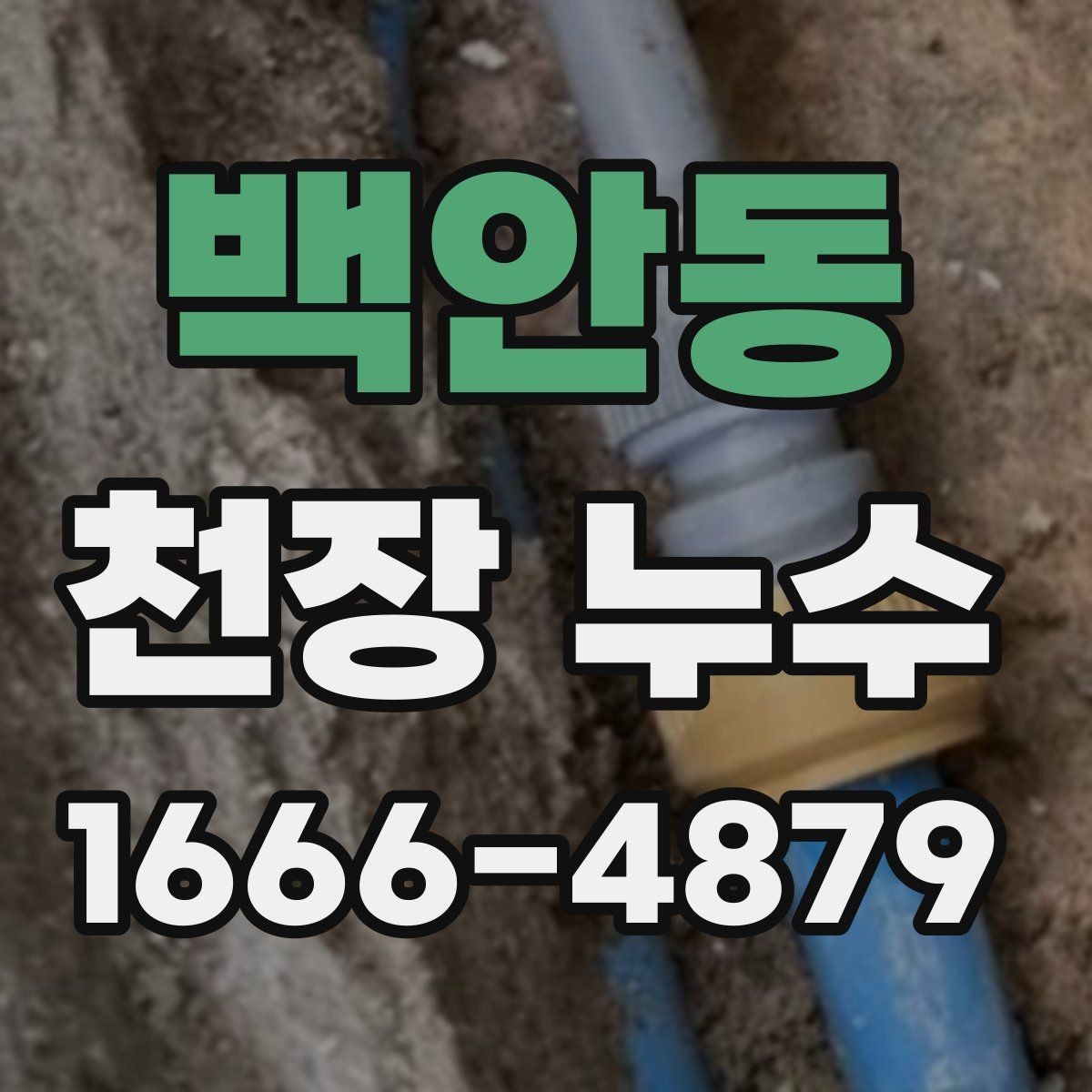 백안동 천장 누수 벽과 천장 경계로 번지는 얼룩을 주의하세요