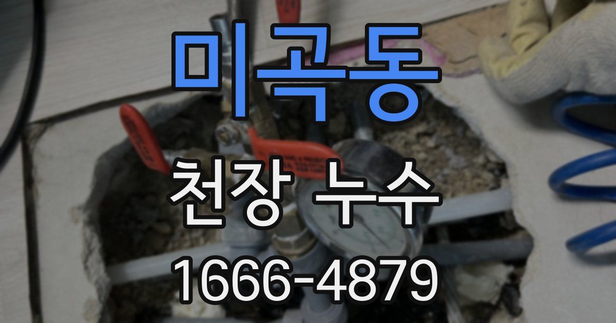 미곡동 천장 누수
