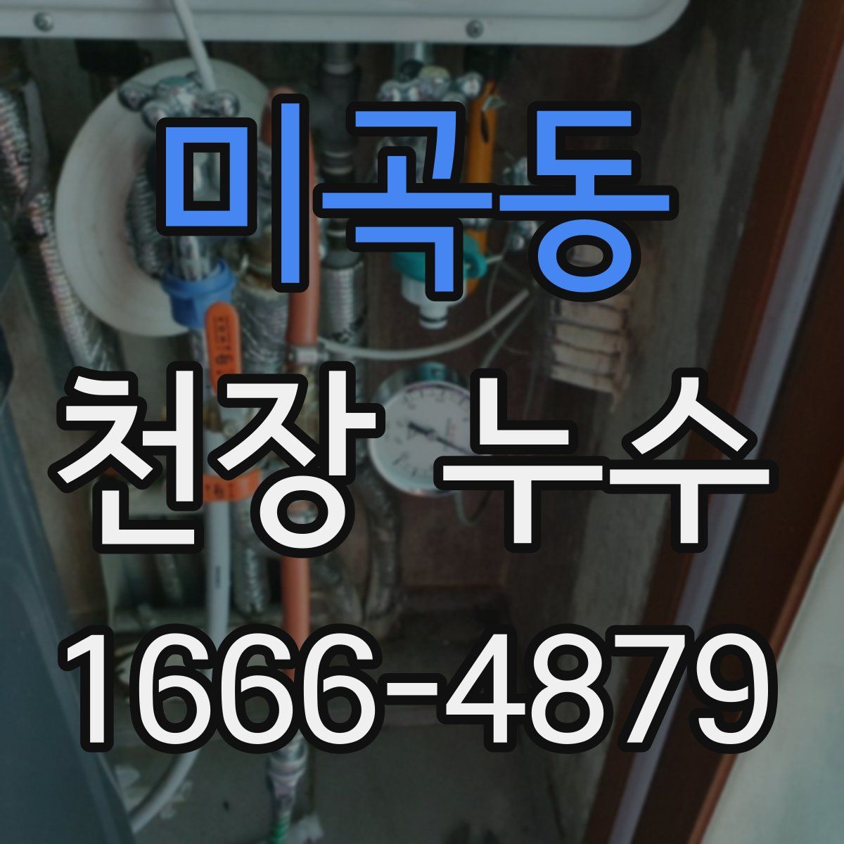 미곡동 천장 누수