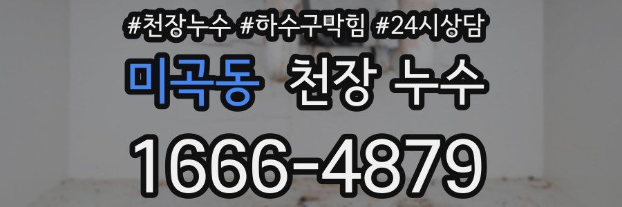미곡동 천장 누수