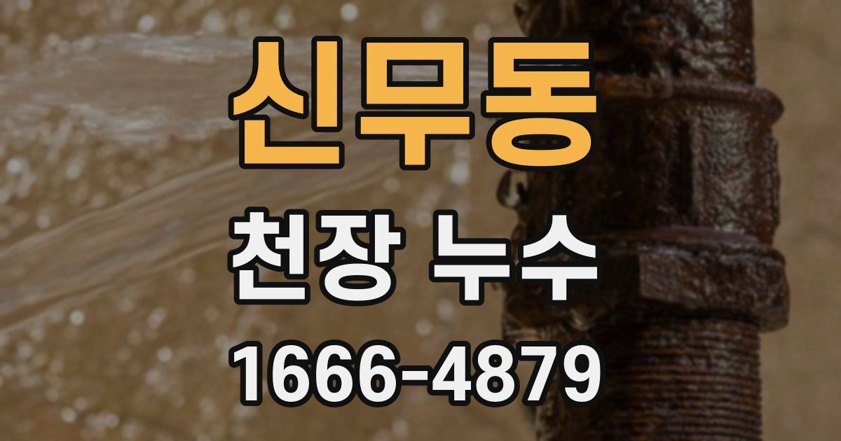 신무동 천장 누수