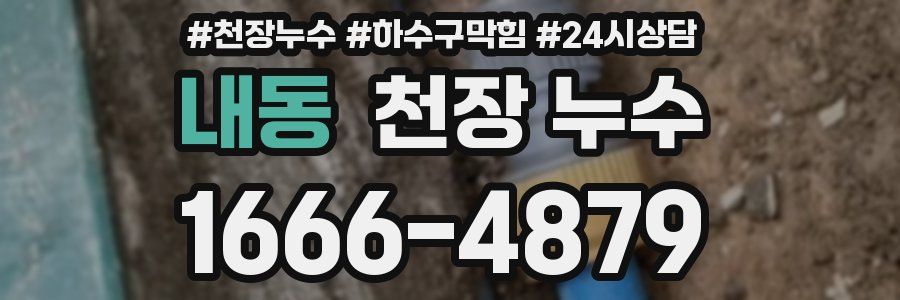 내동 천장 누수