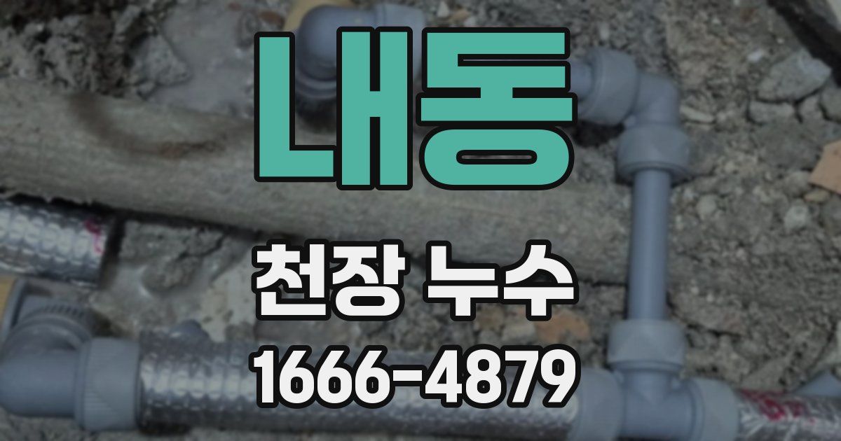 내동 천장 누수