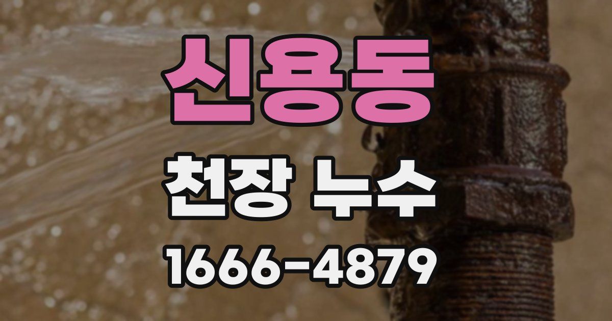 신용동 천장 누수