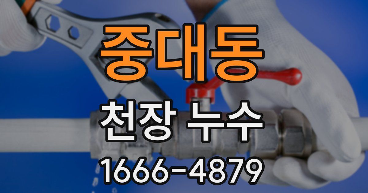 중대동 천장 누수