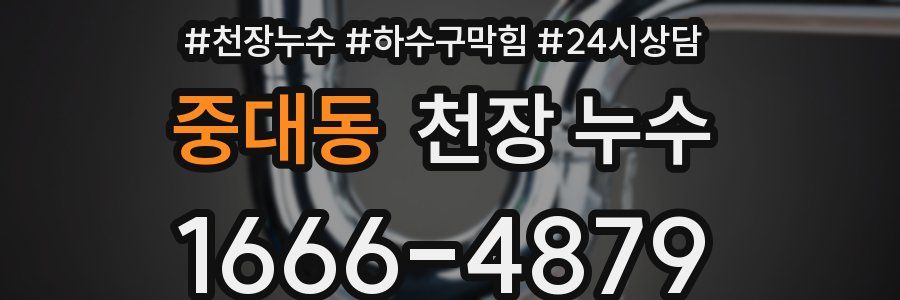 중대동 천장 누수