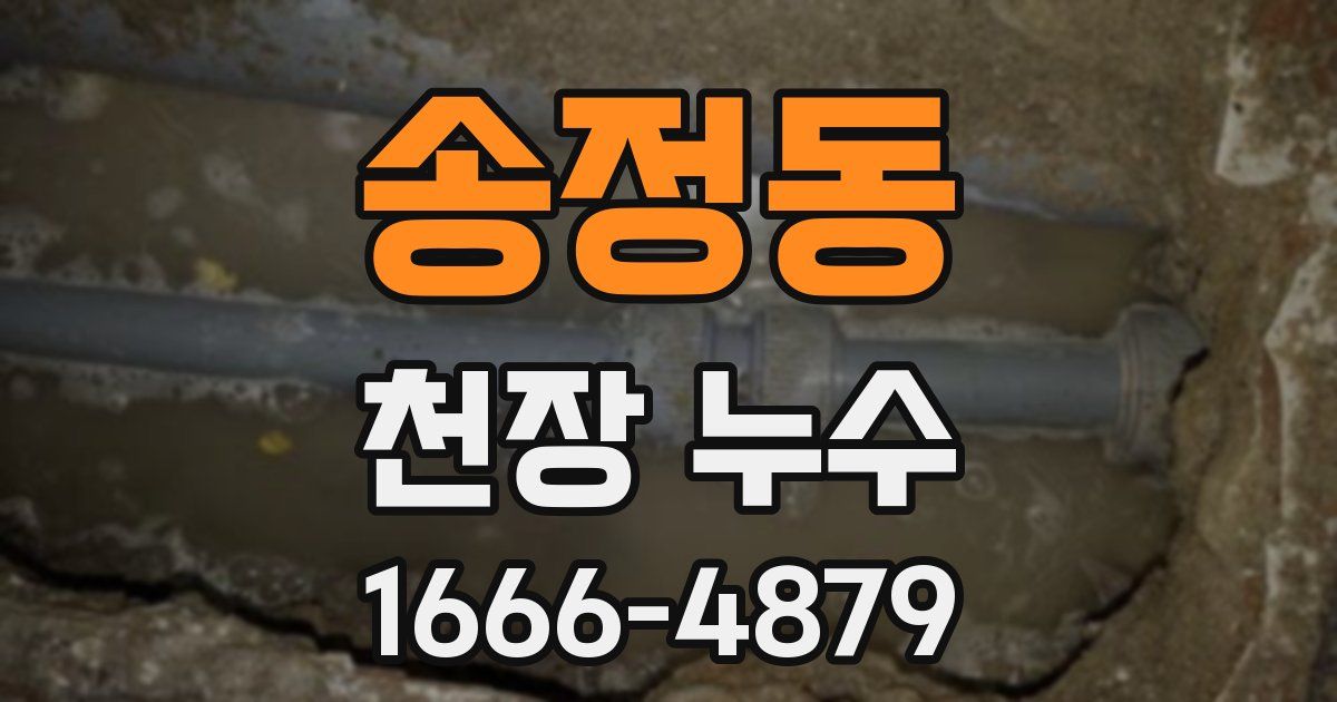 송정동 천장 누수
