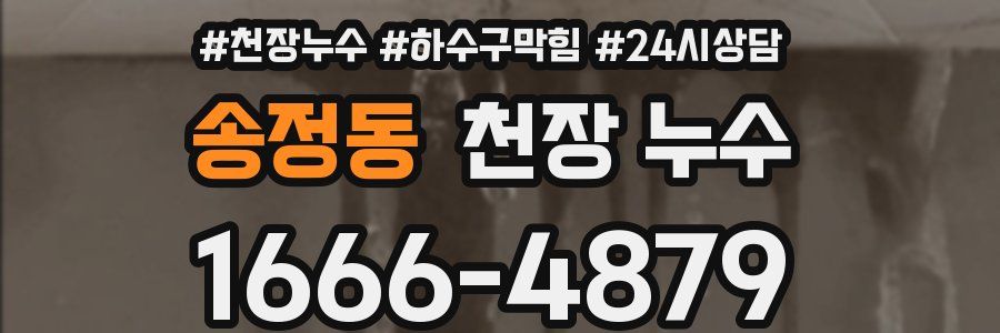 송정동 천장 누수