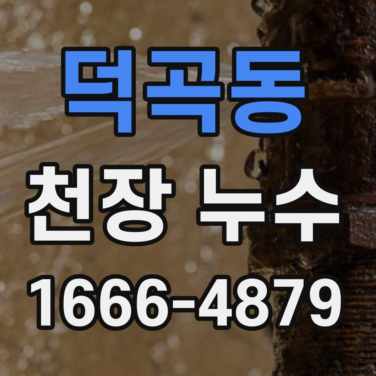 덕곡동 천장 누수 기다릴수록 복구 범위가 커집니다