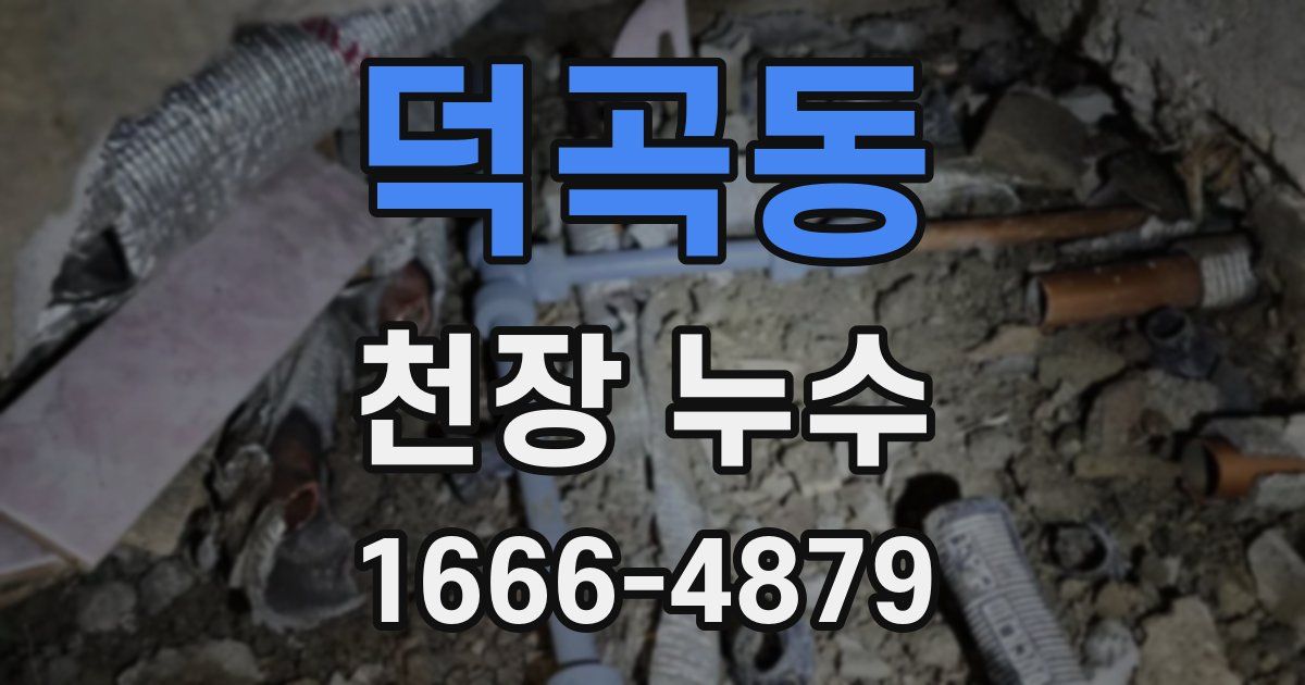 덕곡동 천장 누수