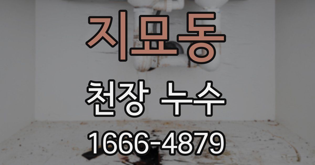 지묘동 천장 누수