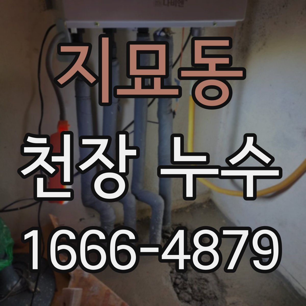 지묘동 천장 누수