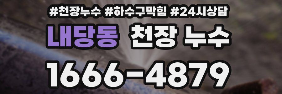 내당동 천장 누수