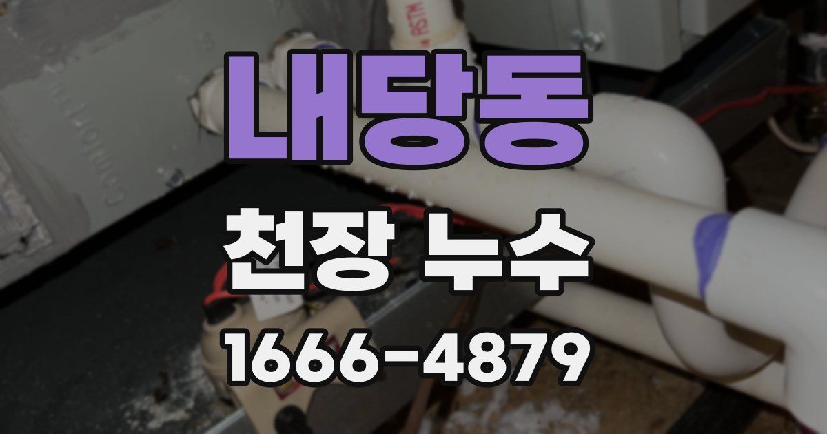 내당동 천장 누수