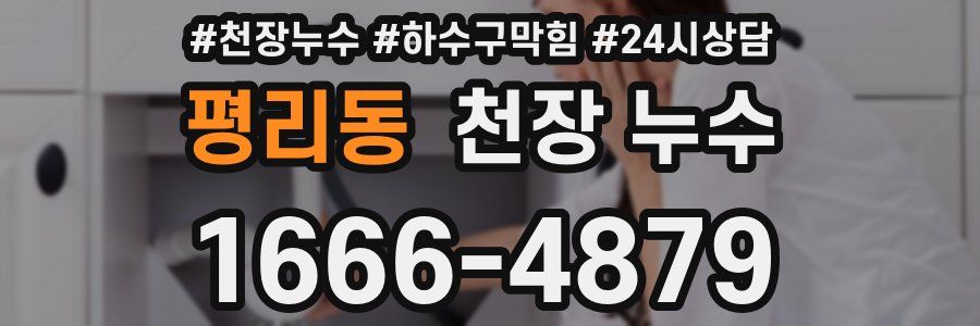 평리동 천장 누수