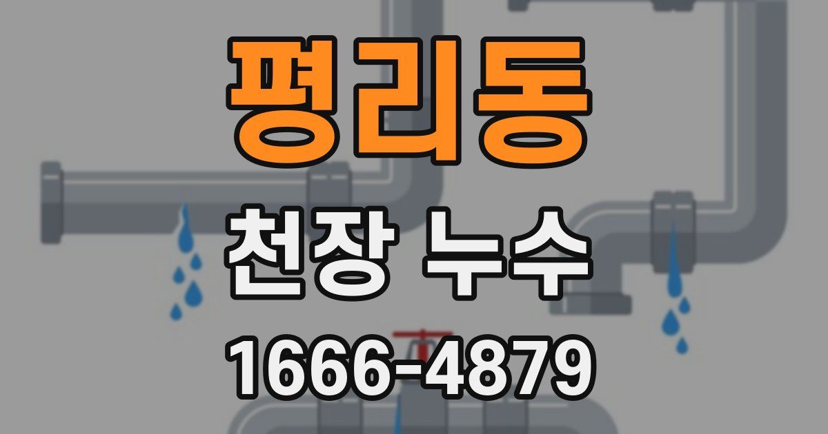 평리동 천장 누수