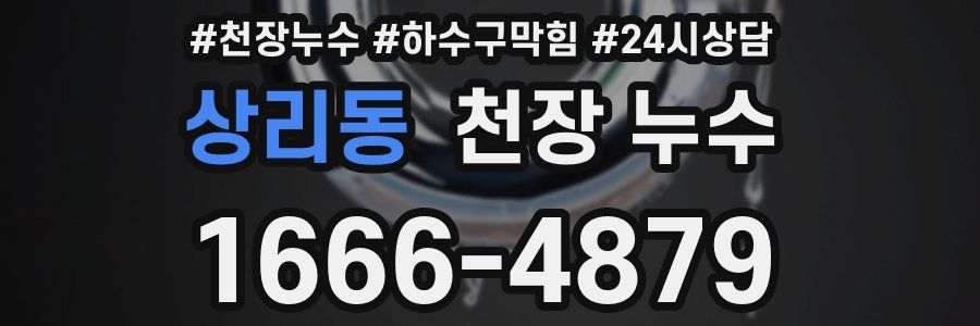 상리동 천장 누수