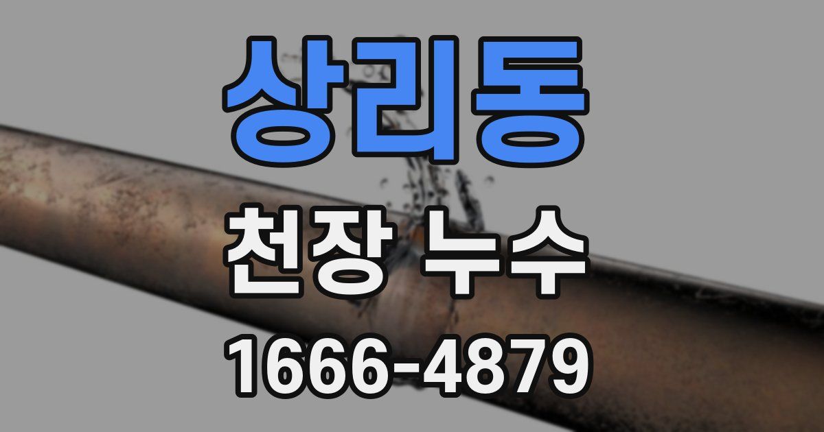 상리동 천장 누수
