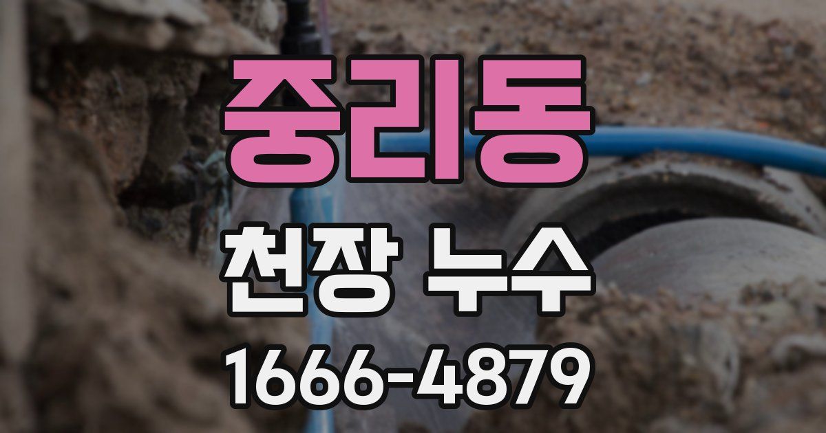 중리동 천장 누수