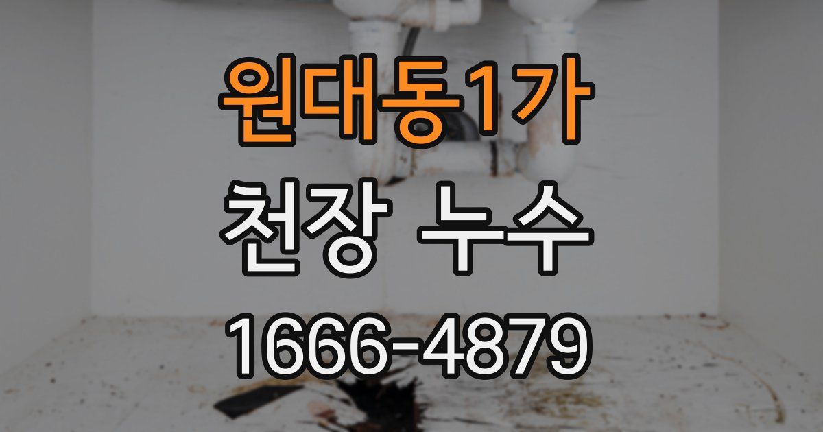 원대동1가 천장 누수