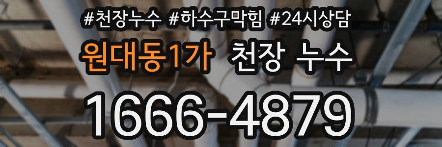 원대동1가 천장 누수