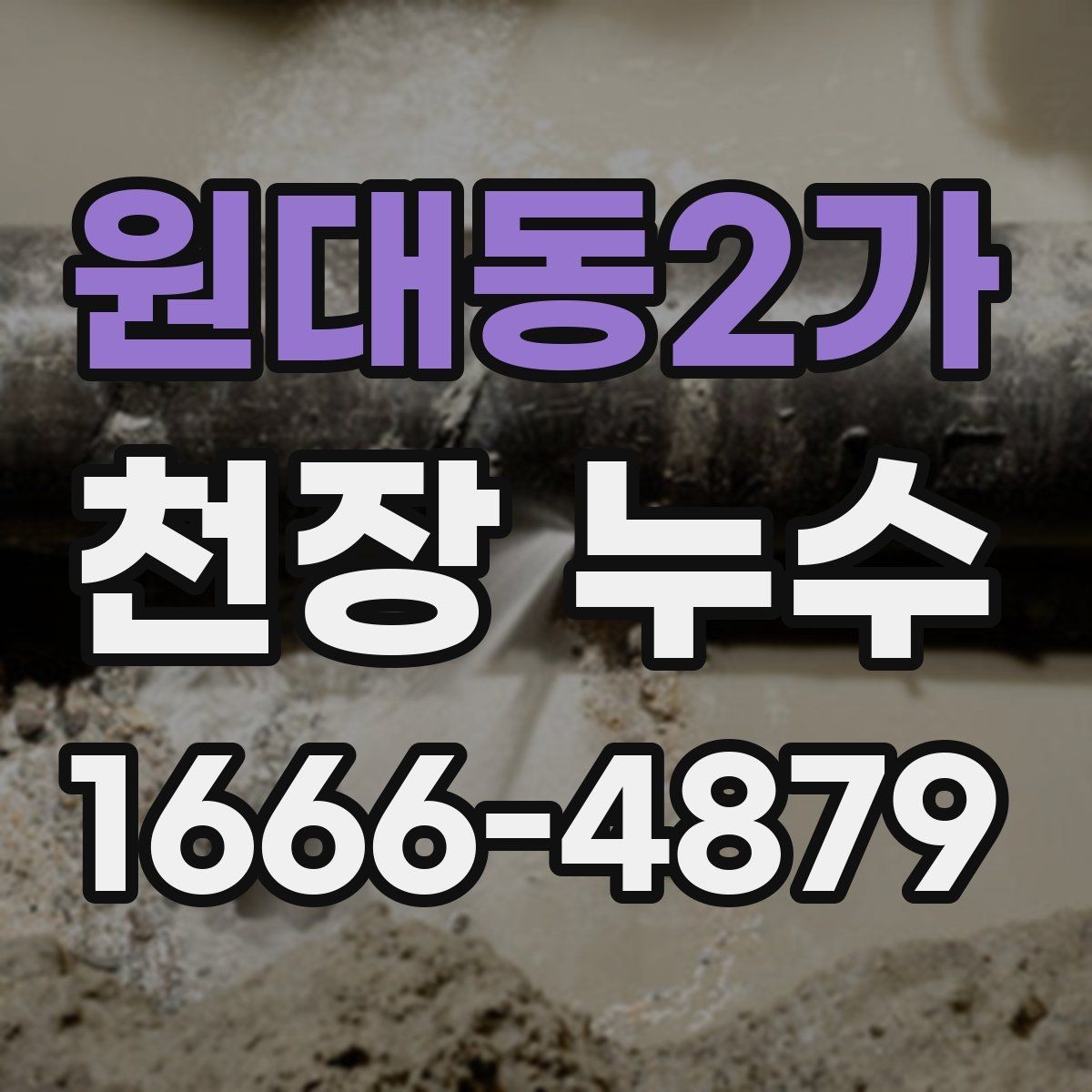 원대동2가 천장 누수 집안 습도가 갑자기 올라갔다면