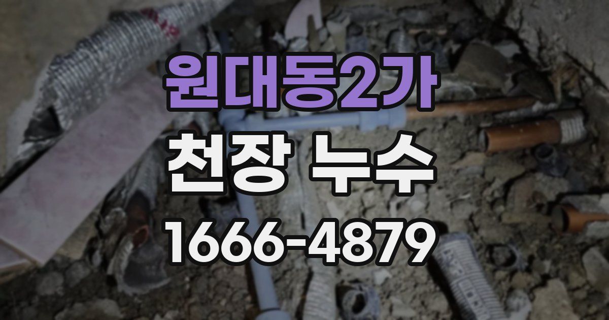 원대동2가 천장 누수