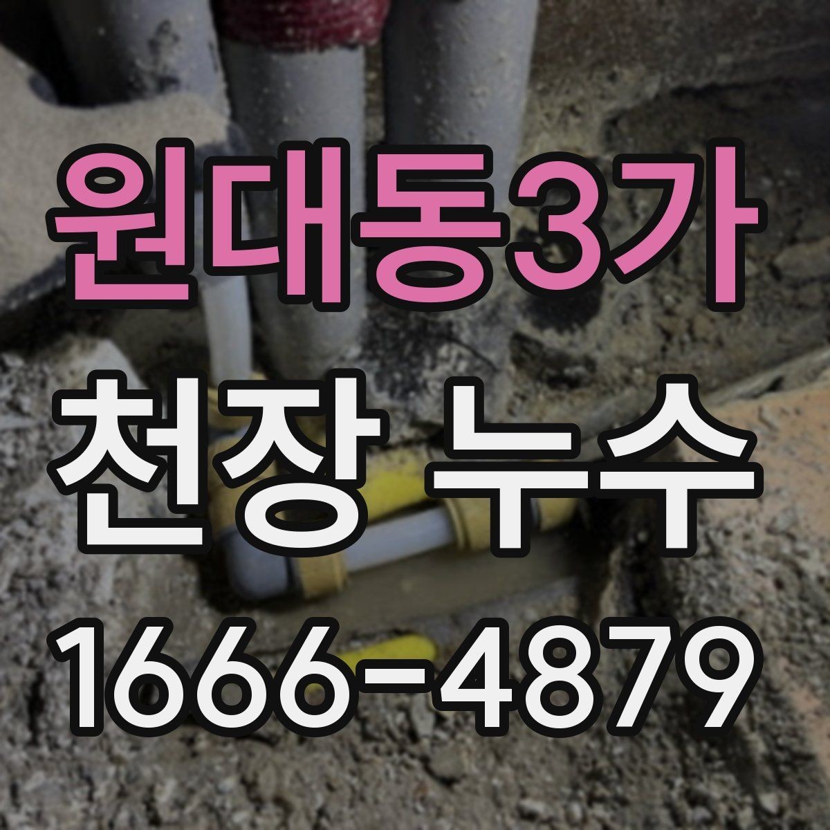 원대동3가 천장 누수 천장 내부 습기로 곰팡이가 생길 때